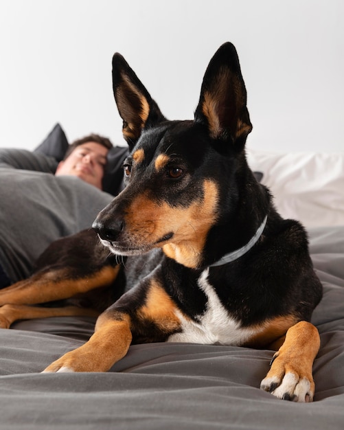 Nahaufnahme verschwommener Mann mit Hund