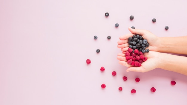 Kostenloses Foto nahaufnahme von den händen, die himbeeren und blaubeeren auf rosa hintergrund halten