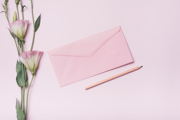 Nahaufnahme von Eustoma blüht mit Umschlag und Bleistift über rosa Hintergrund