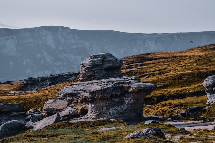 Kostenlose Foto nahaufnahme von felsen in einer hügeligen landschaft