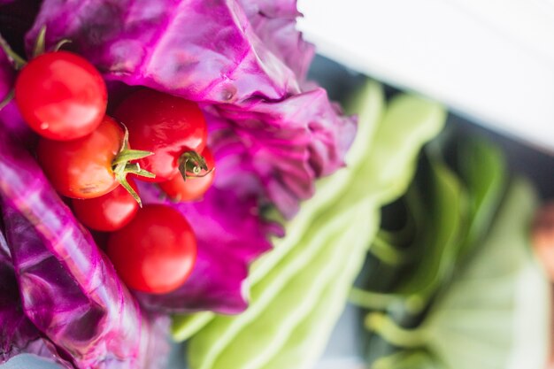 Nahaufnahme von frischen Kirschtomaten und von Purpurkohlblättern