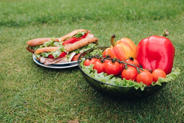 Nahaufnahme von leckeren Sandwiches mit Gemüse. Schale mit gesundem Öko-Gemüse auf dem Rasen.