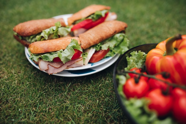 Nahaufnahme von leckeren Sandwiches mit Gemüse. Schale mit gesundem Öko-Gemüse auf dem Rasen.