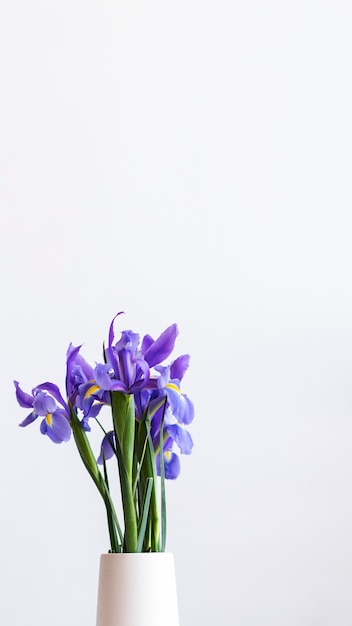 Nahaufnahme von lila Iris in einer weißen Vase Handy Wallpaper