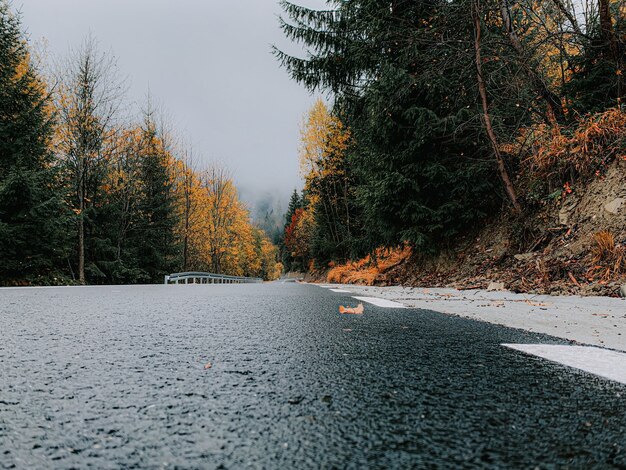 Nahaufnahme von nassem Asphalt einer Landstraße