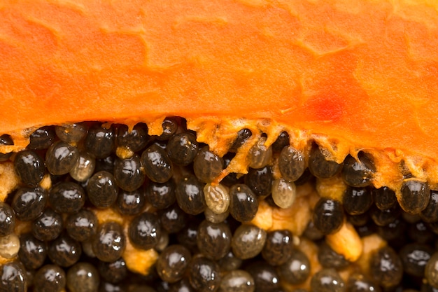 Nahaufnahme von schwarzen Samen der Papaya