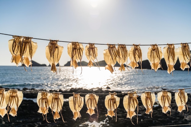 Nahaufnahme von Tintenfischen, die unter einem sonnigen Himmel in der Nähe einer Küste getrocknet werden