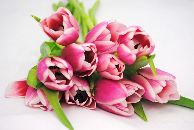 Nahaufnahmeaufnahme der schönen rosa Tulpen auf einer weißen Oberfläche