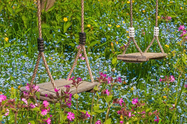 Nahaufnahmeaufnahme der zwei hölzernen Schaukeln in einem Feld mit bunten Blumen