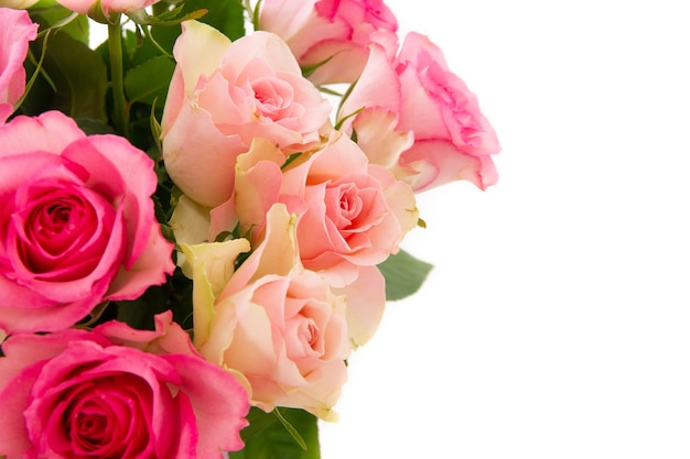 Nahaufnahmeaufnahme des rosa Rosenstraußes lokalisiert auf einem weißen Hintergrund mit einem Kopienraum