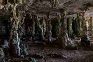 Kostenloses Foto nahaufnahmeaufnahme einer alten höhle voller geheimnisse in bonaire, karibik