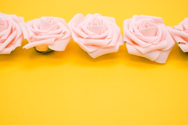 Nahaufnahmeaufnahme einer Reihe von rosa Rosen lokalisiert auf einem gelben Hintergrund mit Kopienraum