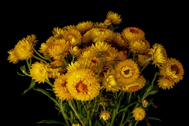 Nahaufnahmeaufnahme eines Blumenstraußes der gelben Blumen hinter einem dunklen Hintergrund