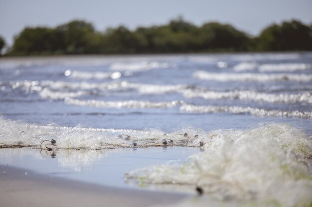 Nahaufnahmeaufnahme eines Fischernetzes am Ufer nahe dem Meer mit einem unscharfen Hintergrund