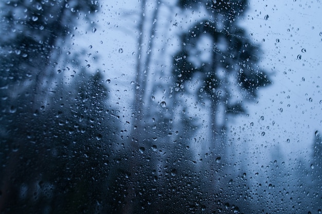 Nahaufnahmeaufnahme eines nassen Glases, das die regnerische Waldlandschaft reflektiert