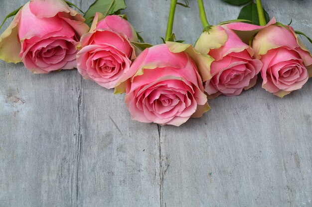 Nahaufnahmebild von rosa Samtrosen auf einer Holzoberfläche