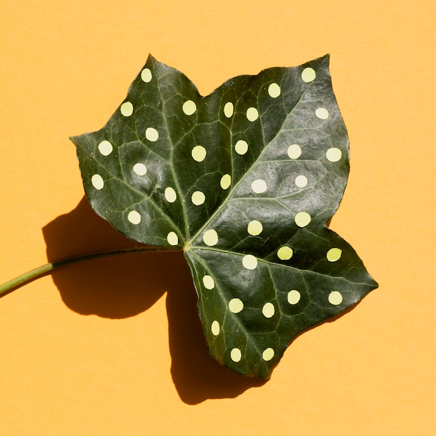 Nahaufnahmeblatt gemalt mit Punkten und Schatten