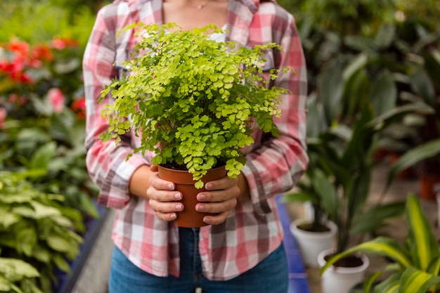 Nahaufnahmefrau, die Blumentopf im Gewächshaus hält