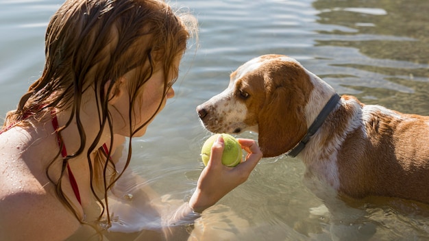 Nahaufnahmefrau, die einen Ball für ihren Hund hält