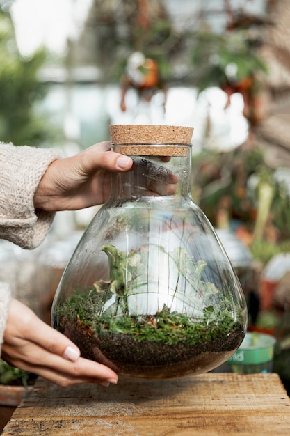 Nahaufnahmefrau, die Glas mit Pflanzen hält