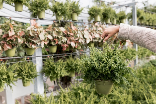 Kostenloses Foto nahaufnahmefrau im blumenmarkt