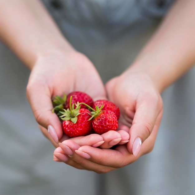Nahaufnahmehände, die Erdbeeren halten