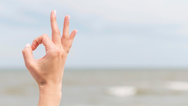 Nahaufnahmehand, die durch Gebärdensprache kommuniziert