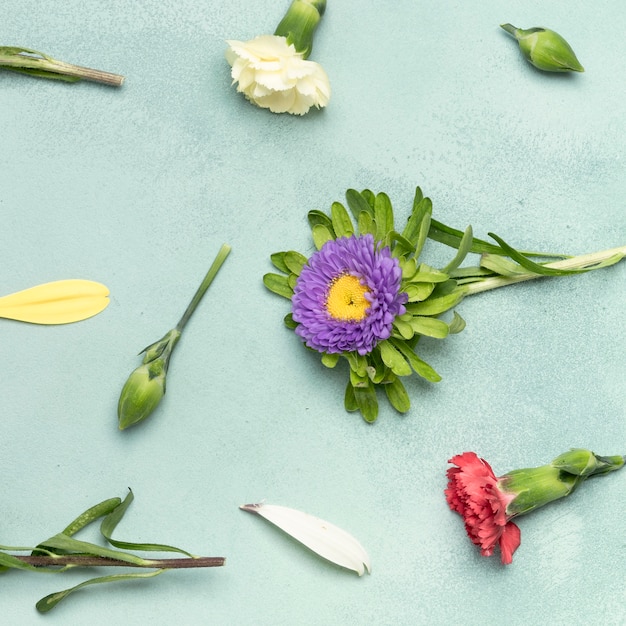 Nahaufnahmehintergrund mit Gänseblümchen und Gartennelkenblumen