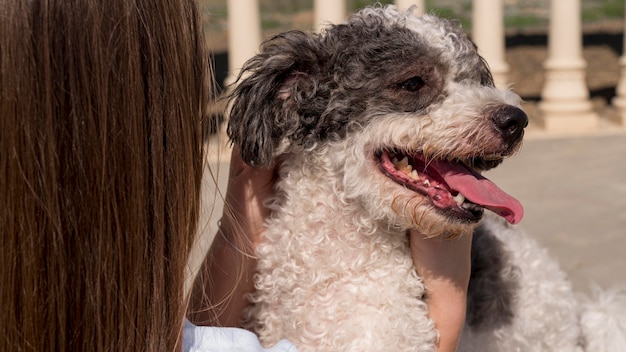 Nahaufnahmemädchen, das entzückenden Hund hält