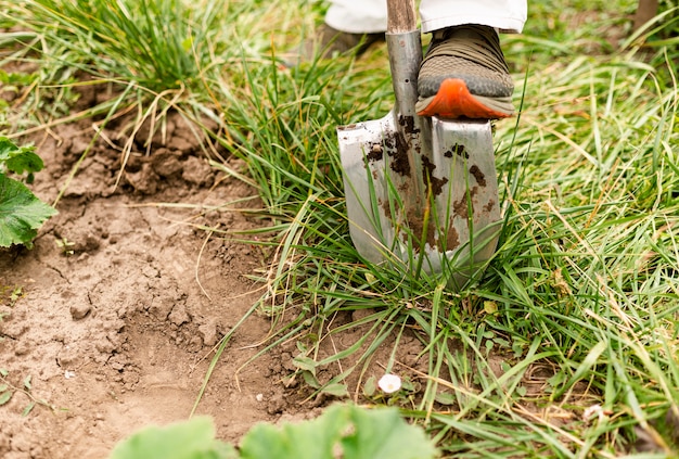 Nahaufnahmeperson, die den Garten gräbt