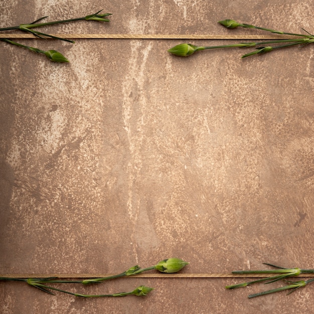 Kostenloses Foto nahaufnahmesepiafeld mit kleinen gartennelkenstämmen