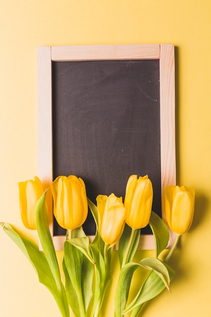 Nahaufnahmetulpen auf Tafel