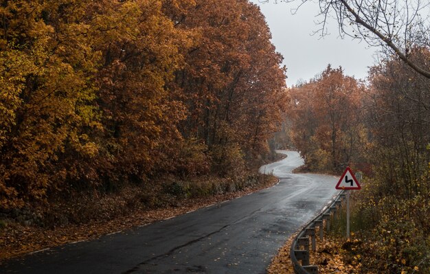 Nasse Straße in einem Wald, aufgenommen an einem regnerischen Tag im Herbst