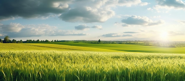 Natürliche Landschaft mit grünem Grasfeld aus goldenem, reifem Weizen, AI generiertes Bild
