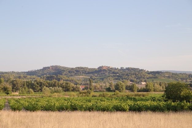 natürliche Landschaft