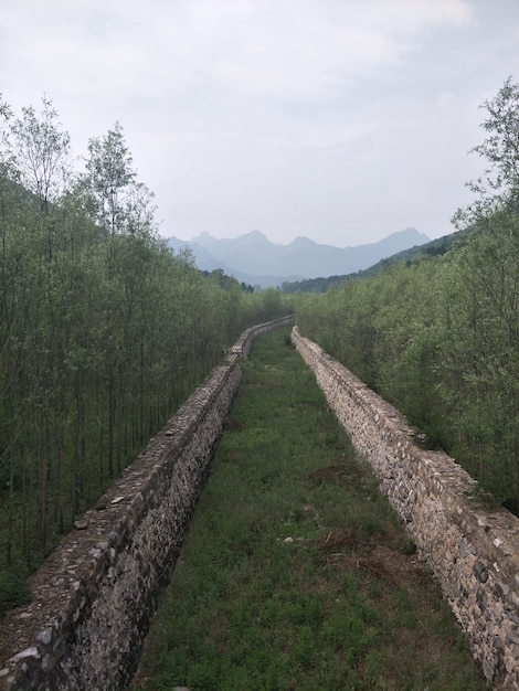 Kostenloses Foto natürliche landschaft