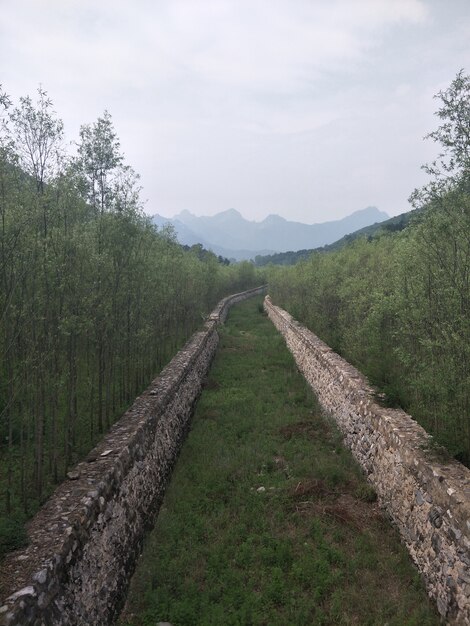 Natürliche Landschaft