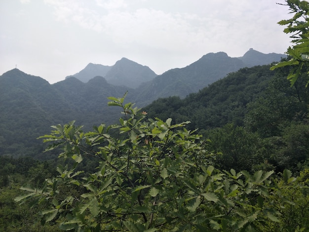 Natürliche landschaft