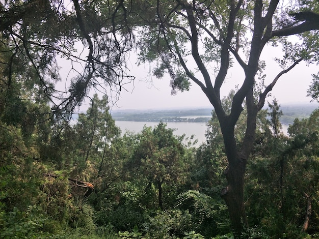 Natürliche Landschaft