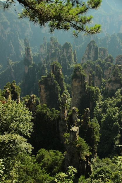 Kostenloses Foto natürliche landschaft