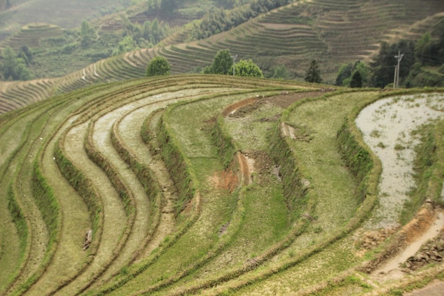 Natürliche Landschaft