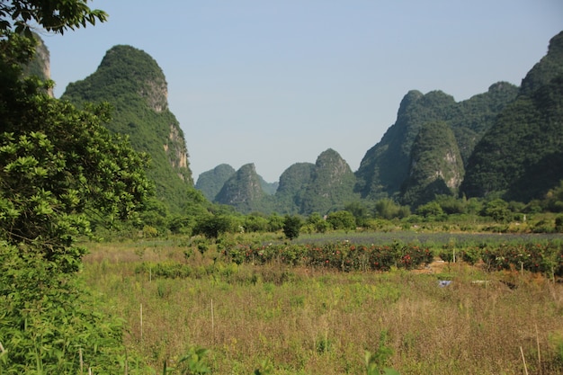 Natürliche Landschaft