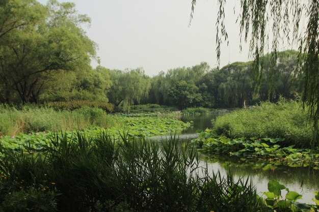 Natürliche Landschaft