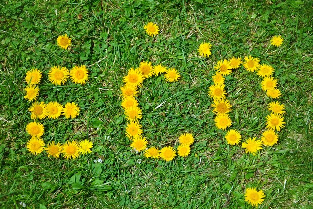 Natürliche Nachricht mit Blumen