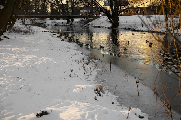 Natürliche schöne Landschaft mit Fluss