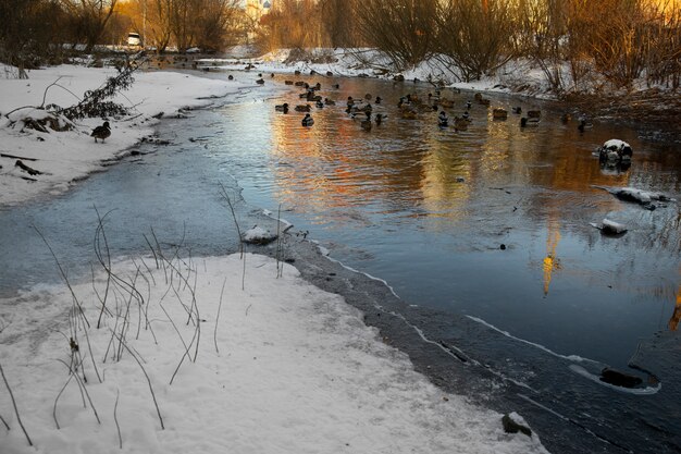 Natürliche schöne Landschaft mit Fluss