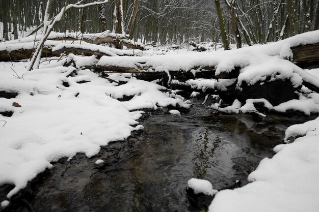 Natürliche schöne Landschaft mit Fluss