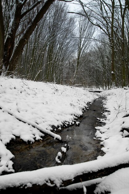 Natürliche schöne Landschaft mit kleinem Bach