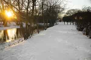 Kostenloses Foto natürliche schöne winterlandschaft