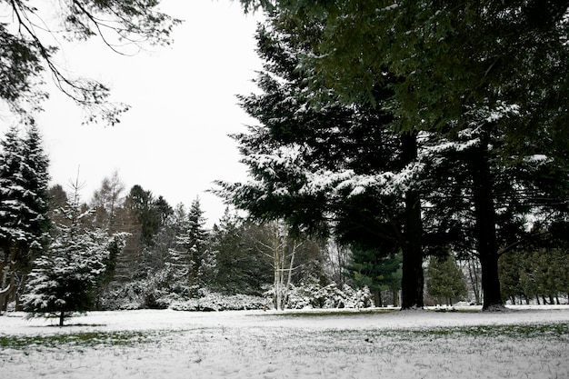 Natürliche schöne Winterlandschaft